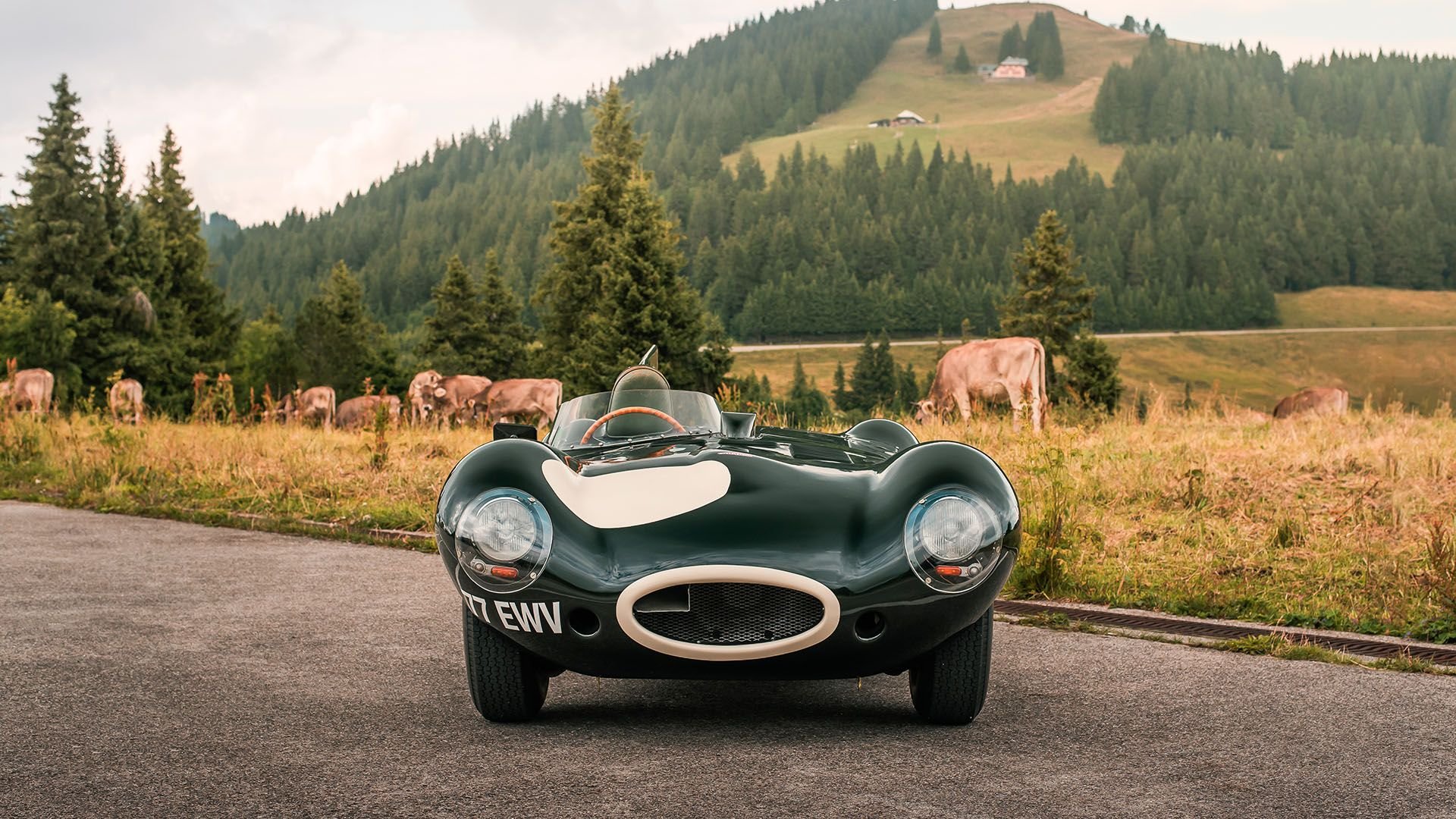 Jaguar Type D de 1956, vue de face
