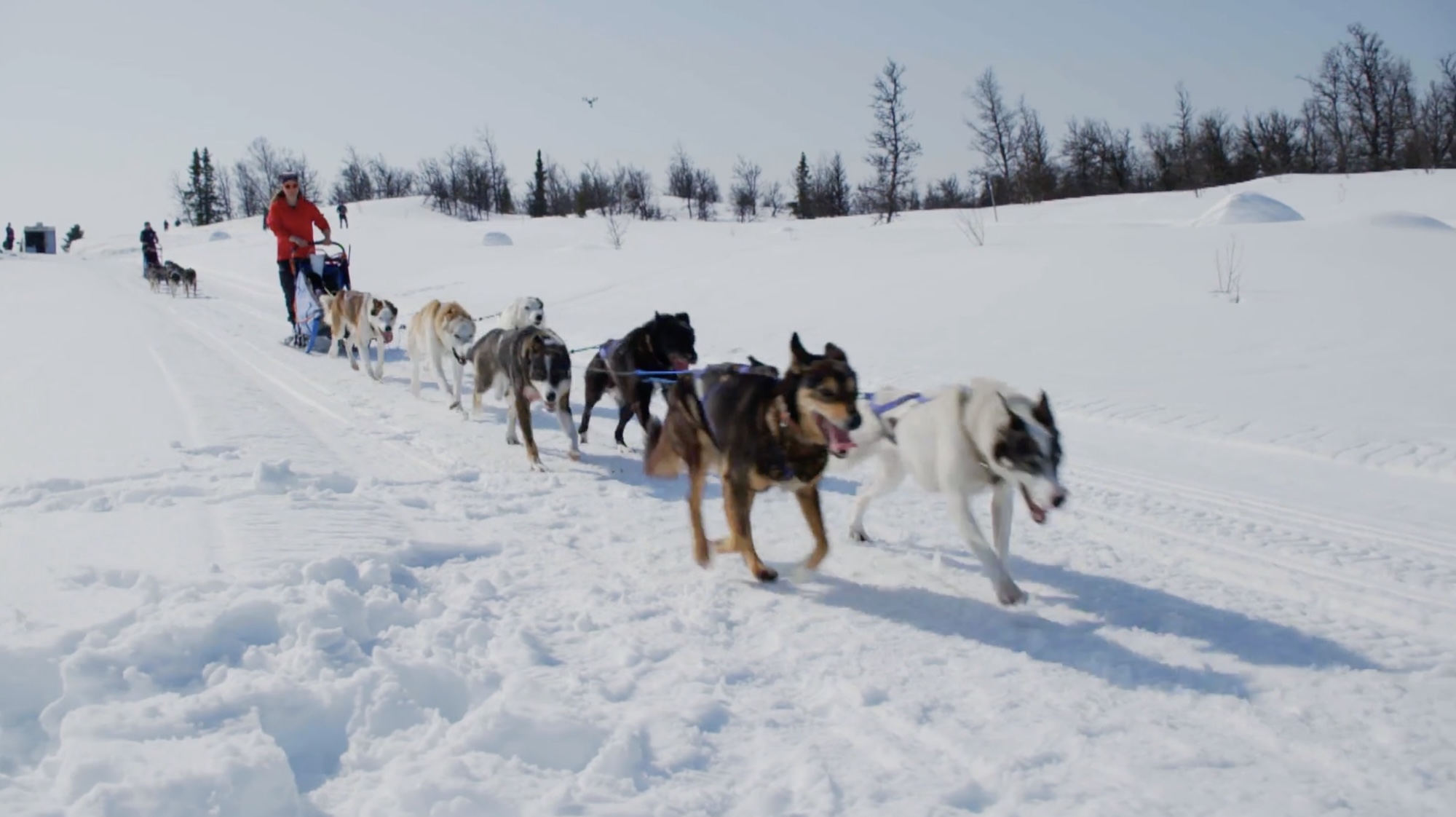 5 Great Car Documentaries You Can Watch Right Now on PBS - Hagerty Media