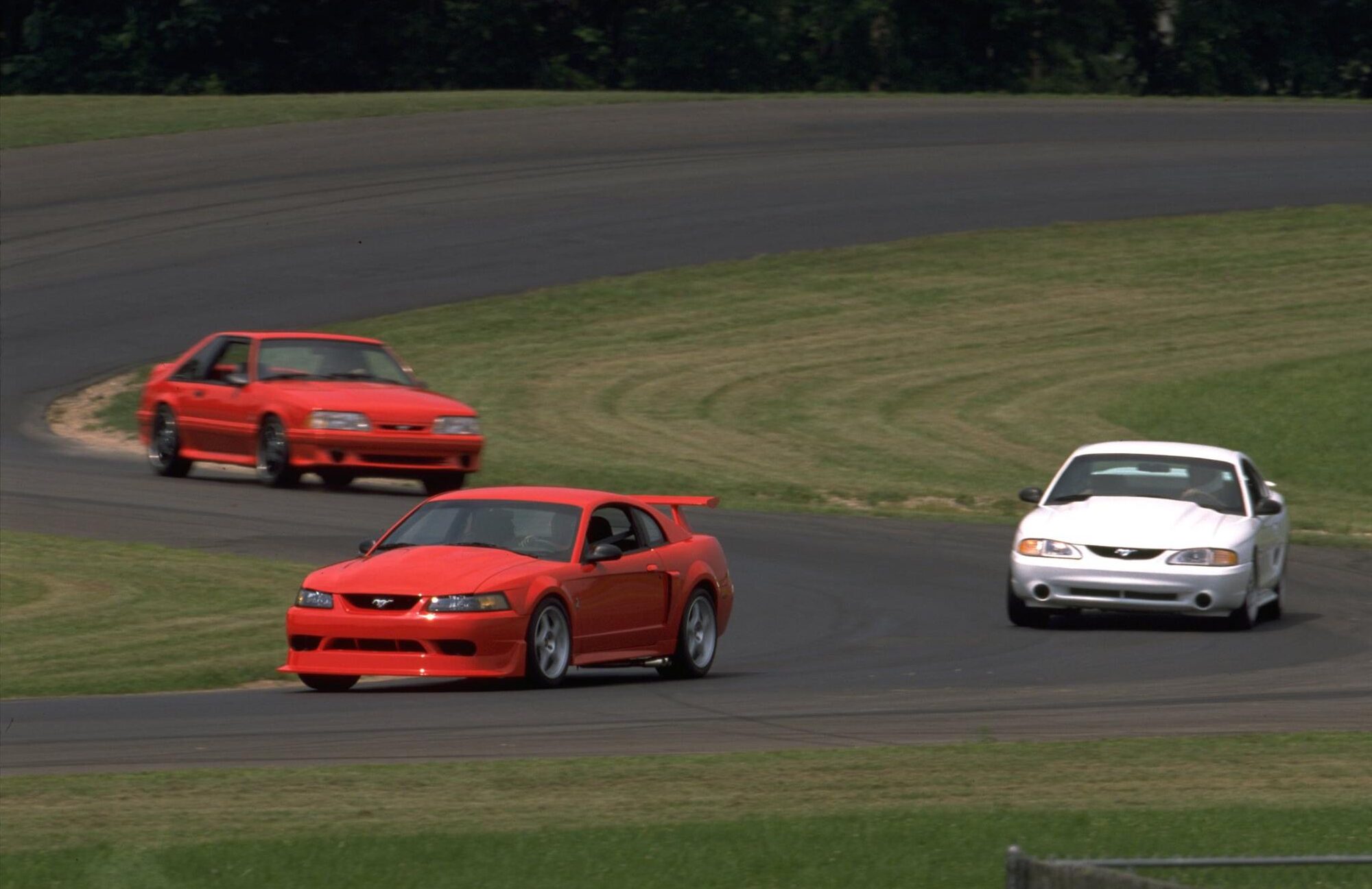 The 2000 Ford Mustang SVT Cobra R Was the Best Automotive Apology in ...