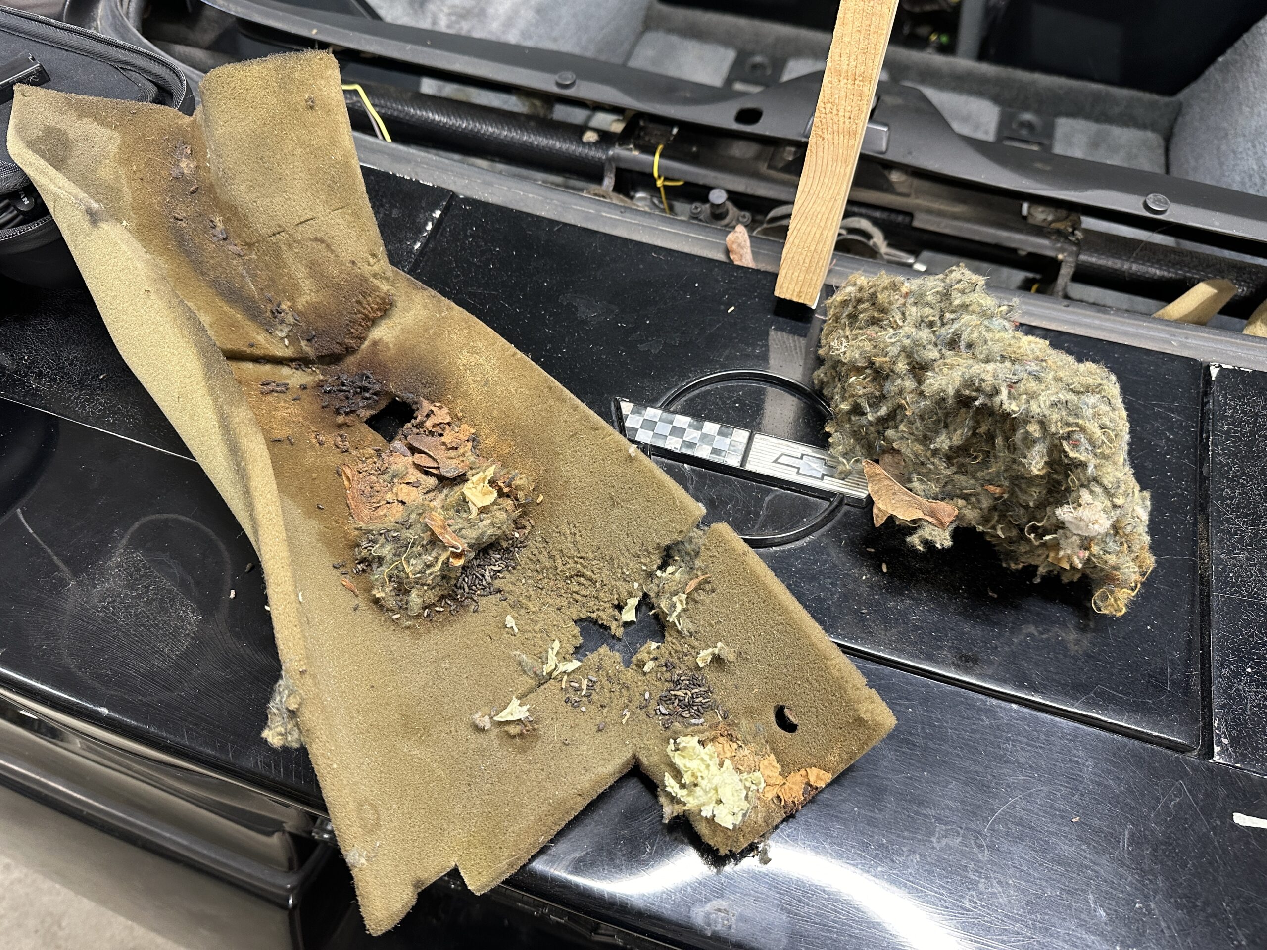 漢他病毒可能藏在你的經典車中——如何安全處理