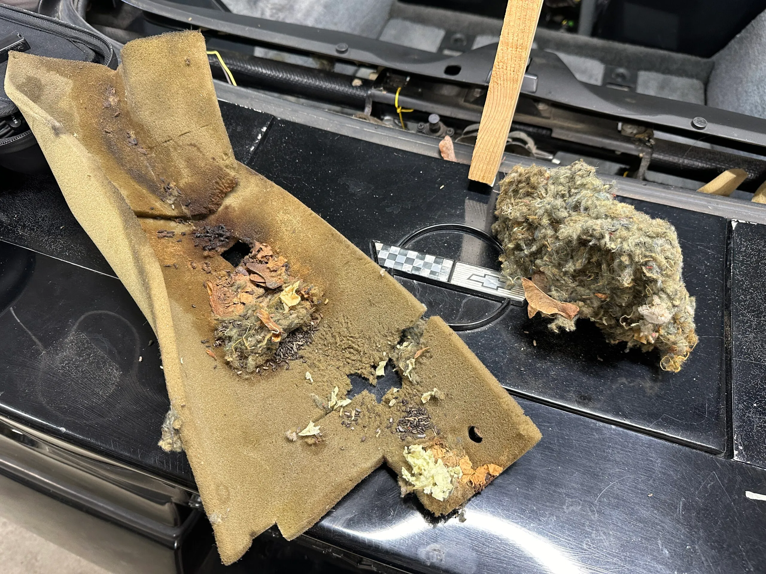 漢他病毒可能藏在你的經典車中——如何安全處理
