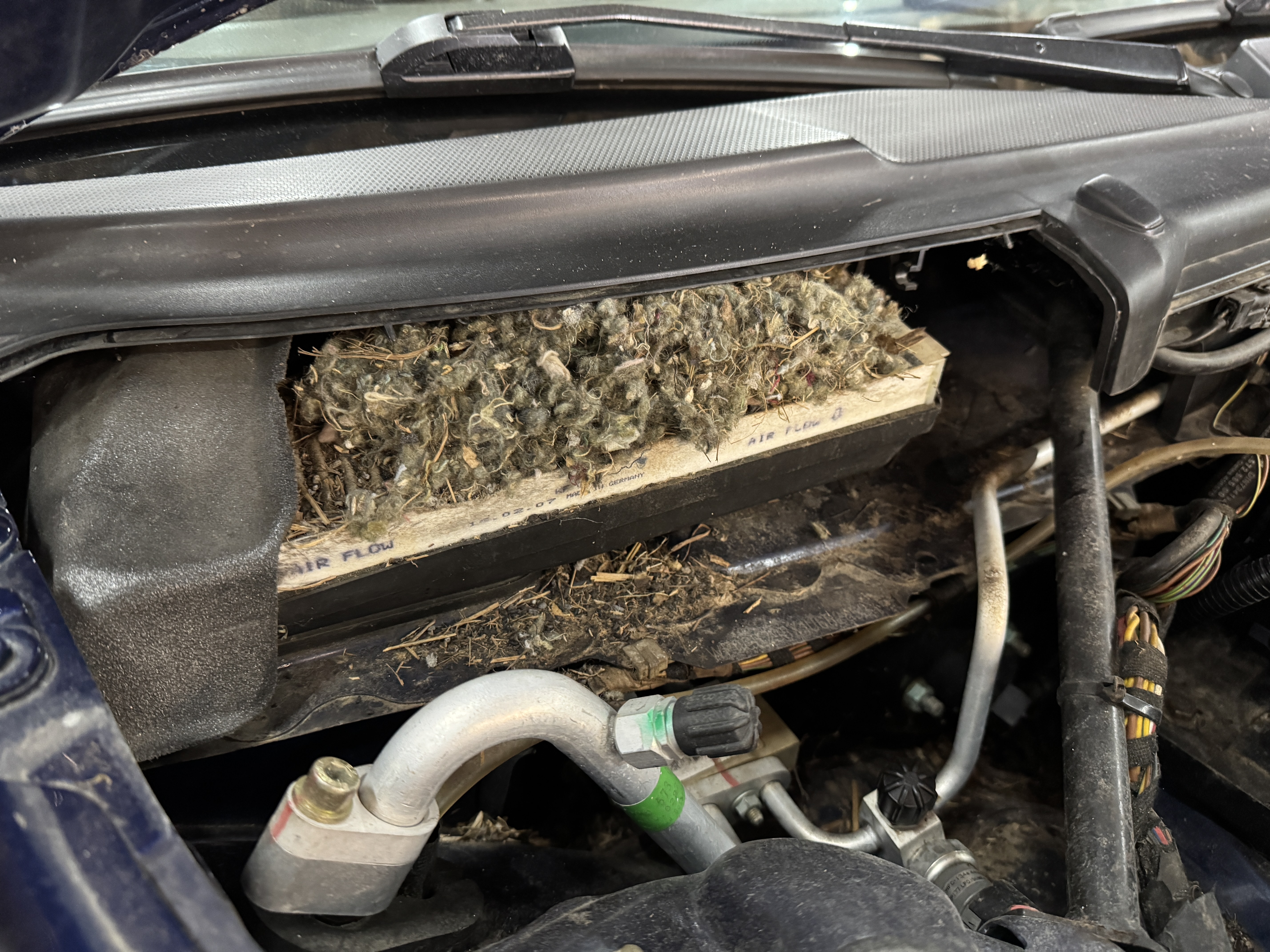 漢他病毒可能藏在你的經典車中——如何安全處理